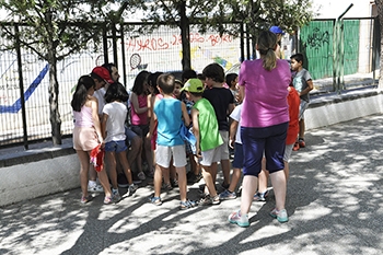 Un grupo de escolares disfrutan de las colonias urbanas en el colegio Abadía.