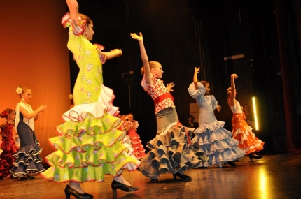 Gala del taller de baile del pasado curso 