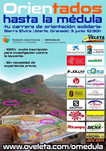 Cartel anunciador de la carrera solidaria