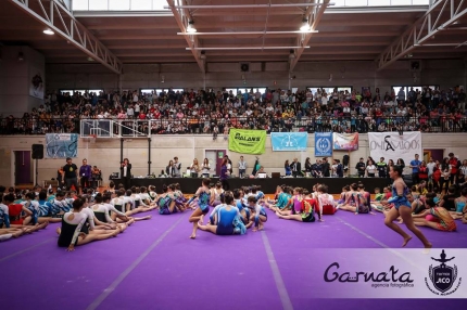 Ambiente en el pabellón Inacua durante el desarollo del torneo /GARNATA 