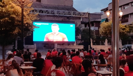 Los aficionados disfrutaron del partido entre España y Suecia el pasado lunes (J. PALMA)