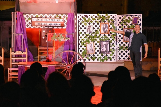 Un momento de la actuación de Chicharrón Circo Flamenco en el parque Guaynabo de Albolote.